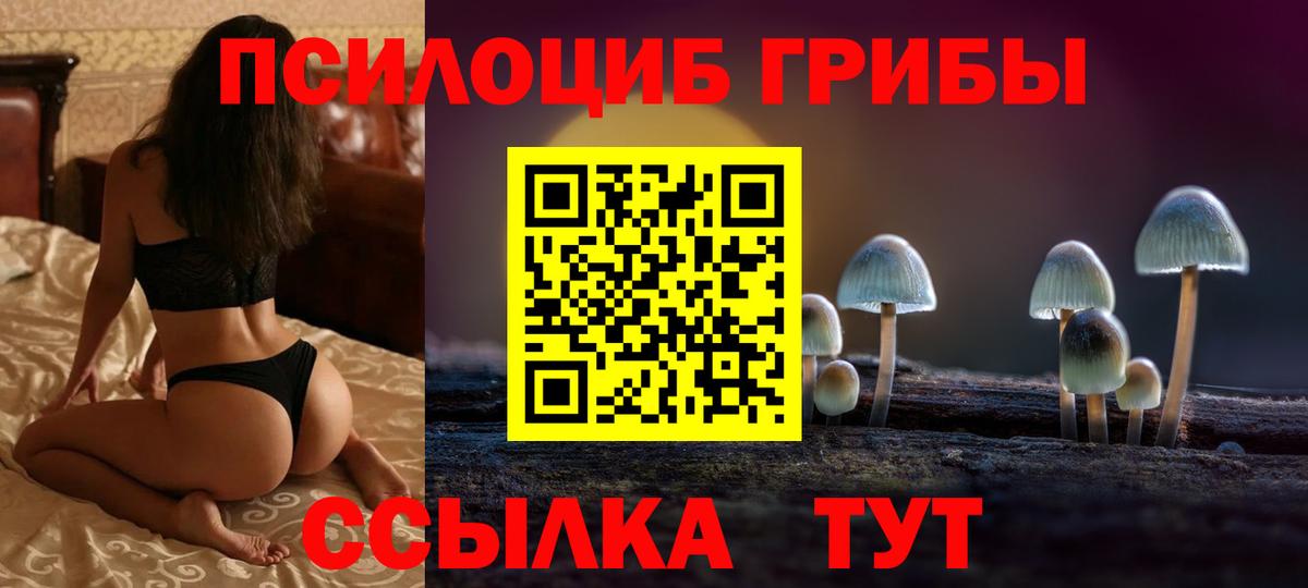 Псилоцибиновые грибы Psilocybe Елабуга