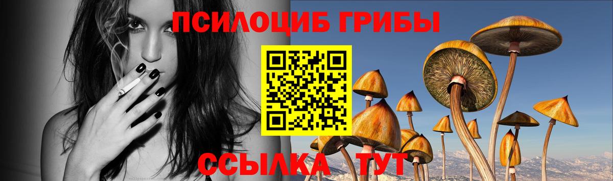 Псилоцибиновые грибы мухоморы  Псилоцибиновые грибы Psilocybe  Елабуга  Вход с VPN 